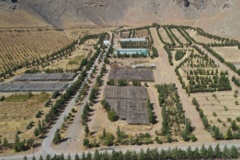 نهالستان بام لرستان 