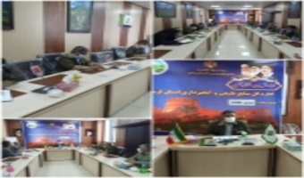 مدیرکل منابع طبیعی و آبخیزداری استان لرستان: