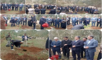 کاشت نهال در پارک طبیعت ولیعصر ( عج ) پلدختر