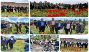 برگزاری آیین «پویش سرو ایران» با محوریت هفته زمین پاک درخرم‌آباد