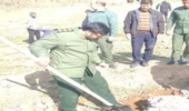 مسئول سازمان بسیج سازندگی لرستان از کاشت ۵۰۰ هزار اصله نهال در استان خبر داد