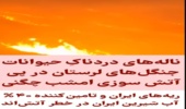 کلیپ منتشره در رابطه با سوختن حیوانات در جنگل های استان را تکذیب کرد
