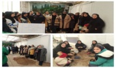 اجرایی شدن طرح شهید مرادی در نهالستان هنرستان خدیجه کبری