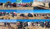   پویش درختکاری در سایه مادر همزمان با سراسر کشور در شهرستان دلفان 