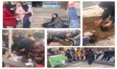 متوسطه اول فدک به طرح «هر مدرسه، یک نهالستان» پیوست