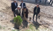 برگزاری پویش درخت کاری سرو ایران در پاسگاه حفاظتی شولآباد شهرستان الیگودرز