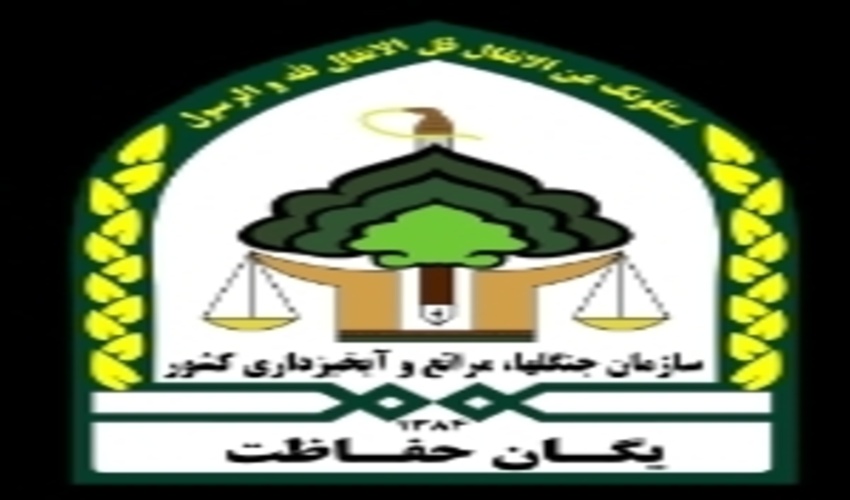  متخلفین قطع درختان در شهرستان های چگنی و سلسله دستگیر شدند