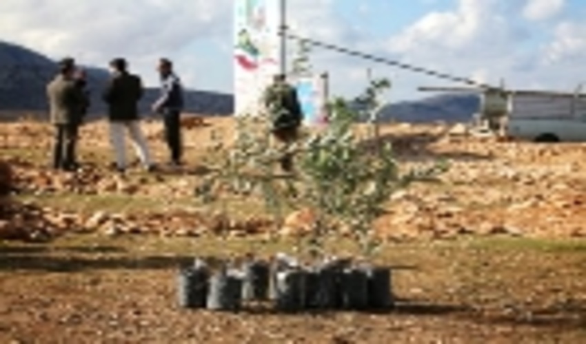 آغاز عملیات جنگل کاری وتوسعه فضای سبز در سطح 5 هزار و 500 هکتار در استان لرستان