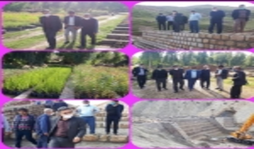 بازدید مدیر کل منابع طبیعی و آبخیزداری استان لرستان و هیئت همراه از طرح ها و پروژه های شهرستان پلدختر: