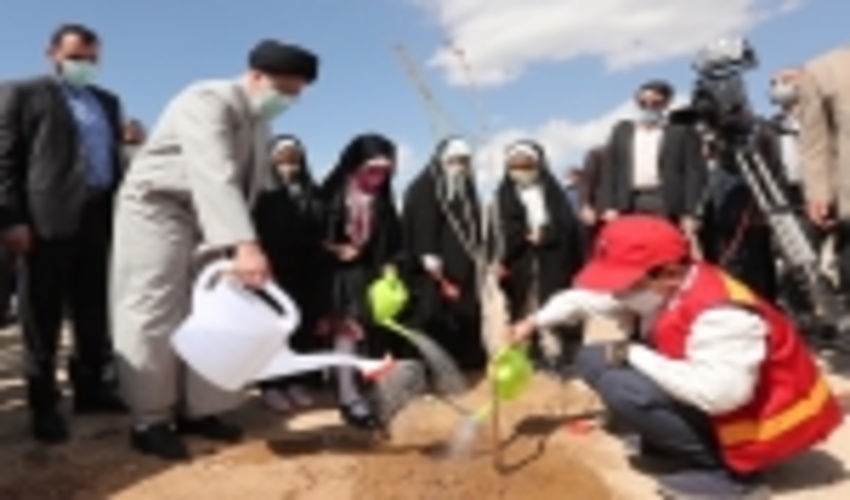 کاشت درخت توسط رئیس جمهور در روز درختکاری