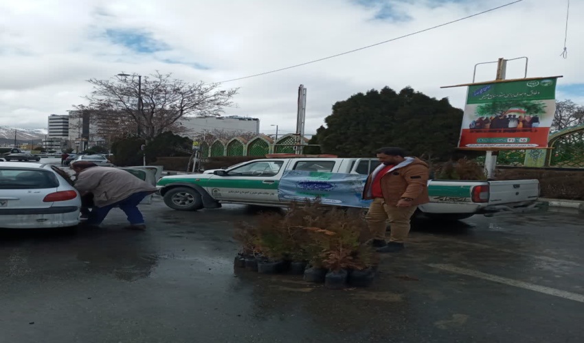 تولید نهال در نهالستان های استان