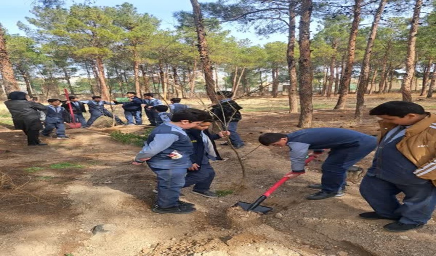 انهدام کوره های زغال در ارتفاعات معمولان