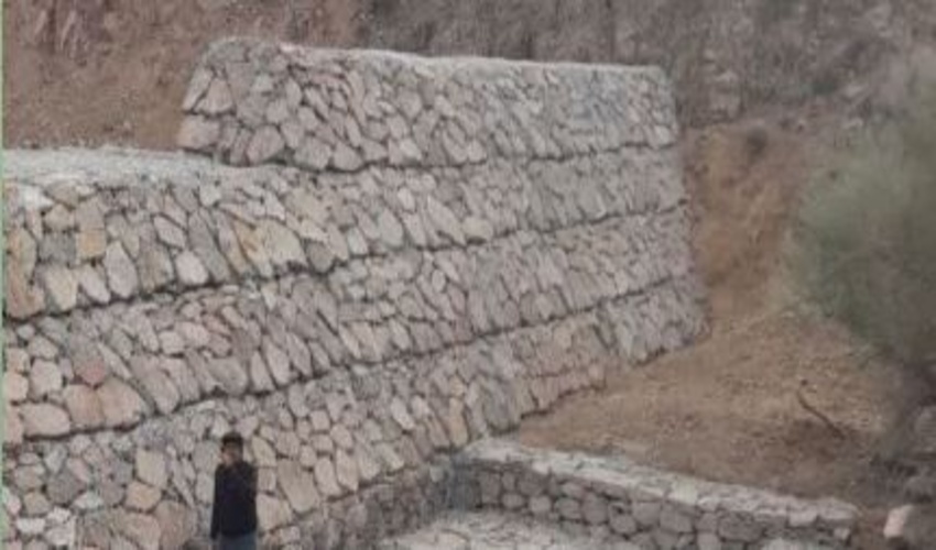 کشف 35 تن چوب قاچاق در بروجرد 