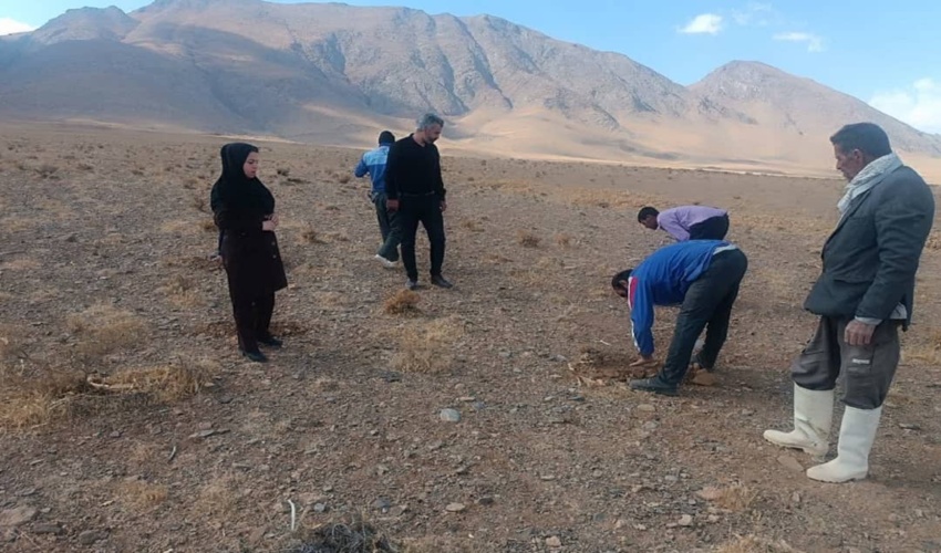 بازدید سر زده استاندار لرستان از اداره کل منابع طبیعی و آبخیزداری استان