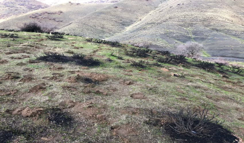 افتتاح و کلنگ زنی چهار پروژه اداره منابع طبیعی و آبخیزداری شهرستان دلفان