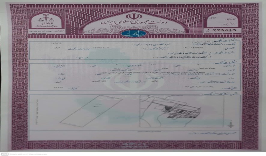 سرپرست اداره امور اداری رفاه و پشتیبانی اداره کل منابع طبیعی و آبخیزداری استان لرستان منصوب شد.