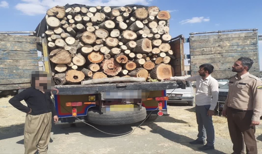 بازدید دو روزه مشاور ریاست سازمان جنگلها، مراتع و آبخیزداری کشور و رئیس مرکزجنگل های خارج شمال از طرح ها و پروژه های اداره کل منابع طبیعی و آبخیزداری لرستان