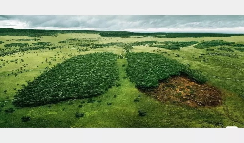 امنیت شغلی جنگلبان باید تامین شود!