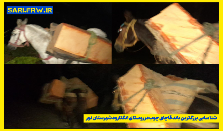 کلاس آموزشی برای همکاران شاغل در ادارات منابع طبیعی و آبخیزداری شهرستان های چگنی و کوهدشت برگزار شد