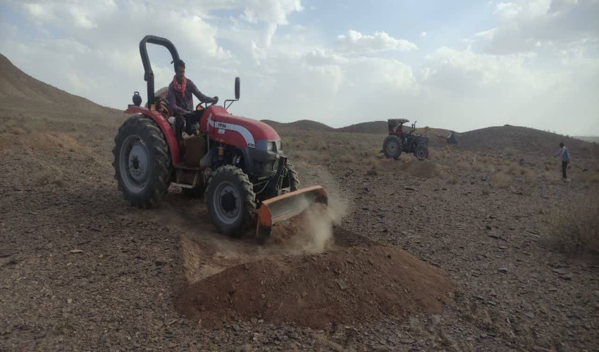 کسب رتبه برتر سازمان جنگل‌ها در ارزیابی عملکرد دستگاه‌های وزارت جهاد کشاورزی