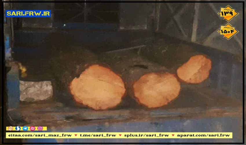 نمونه های بخش منابع طبیعی لرستان، نامزد دریافت عنوان تولیدکننده  برتر ملی شدند