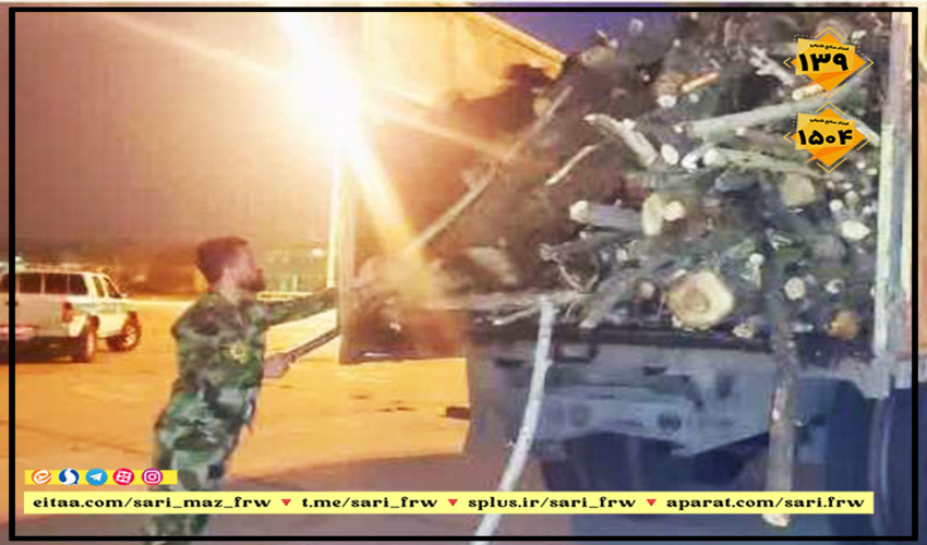 کشت گیاهان دارویی در 60 هکتار از عرصه های ملی شهرستان سلسله