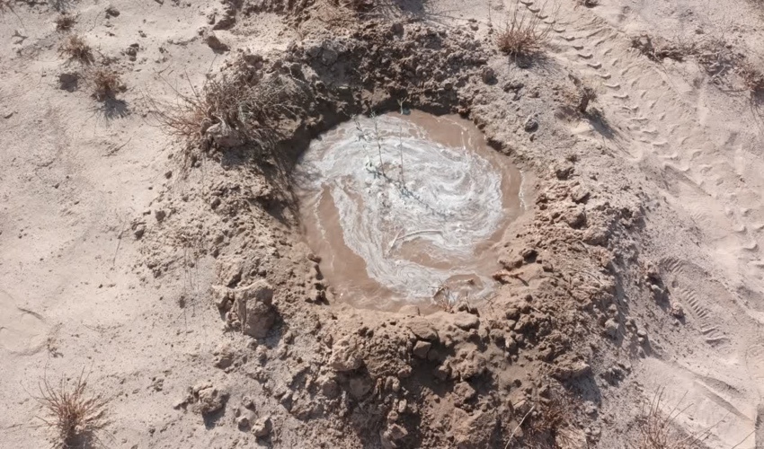 ساماندهی دامداران و بهره برداران عرصه های جنگلی و مرتعی