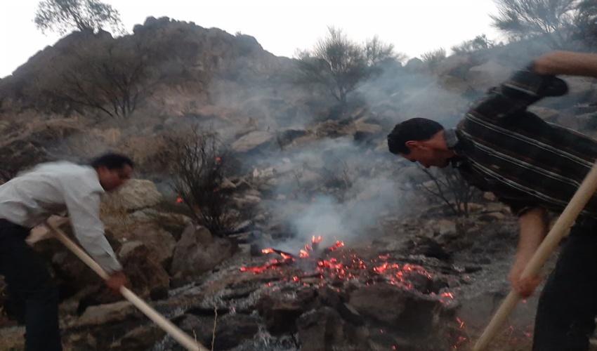 رئیس سازمان جنگل‌ها به مناسبت هفته دولت و روز کارمند پیامی صادر کرد