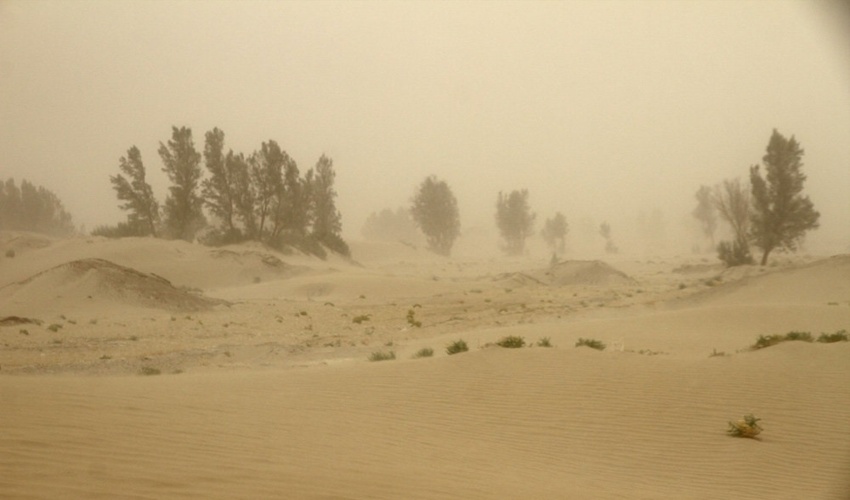 مرتعداران نسبت به تمدید پروانه چرا در مراتع اقدام کنند