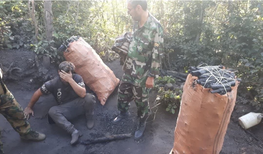 ساماندهی دامداران و بهره برداران عرصه های جنگلی و مرتعی