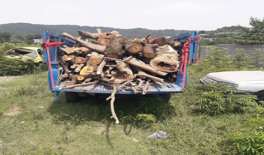 مدیر کل منابع طبیعی و آبخیزداری استان لرستان: اجرای عملیات آبخیزداری در حوزه آبخیز قبله و کوشکی