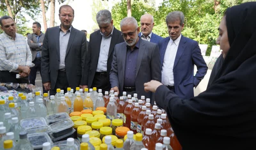 حمایت دستگاه قضایی از انفال