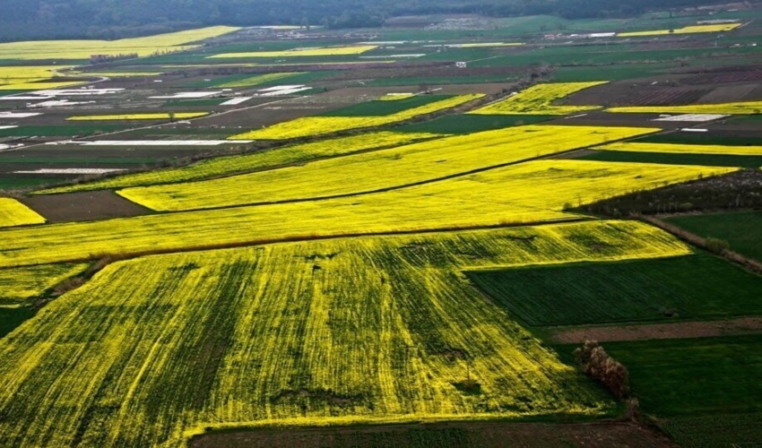 اهدای شاخه گل به حافظان انفال در هفته نیروی انتظامی