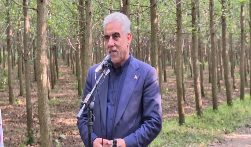 مدیر کل منابع طبیعی و آبخیزداری استان لرستان خبر داد: انجام عملیات آبخیزداری در حوزه های مختلف شهر خرم آباد