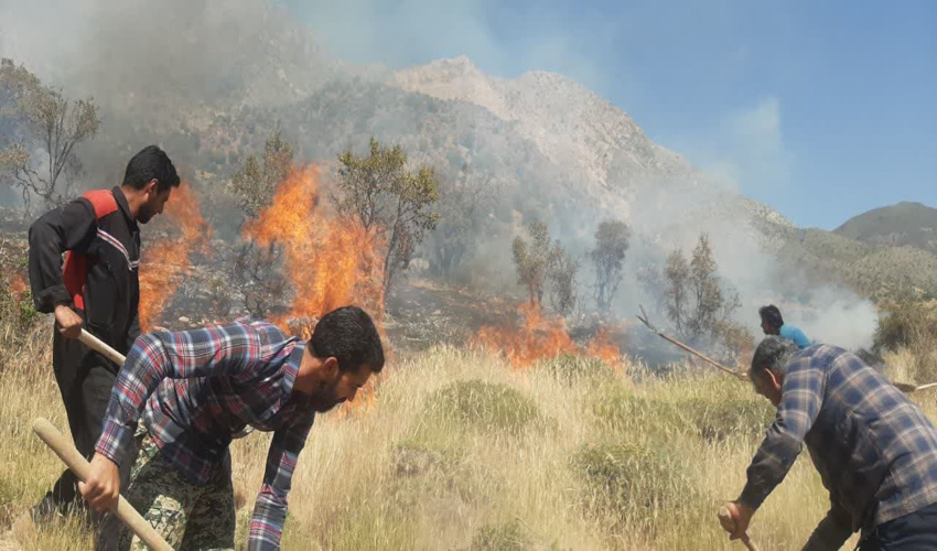 اجرای عملیات آبخیزداری بهترین راه برای برون رفت از مشکل کم آبی است