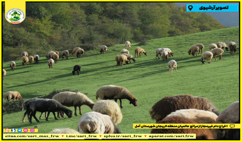 فرماندار شهرستان چگنی : مدیران عضو بحران شهرستان آماده باشند