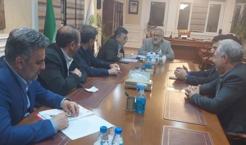 دیدار نماینده پلدختر در مجلس شورای اسلامی با رئیس سازمان منابع طبیعی ایران