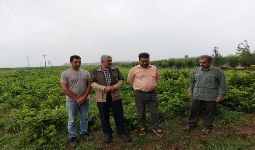 اولین جلسه شورای ستاد اقامه نماز اداره کل منابع طبیعی و آبخیزداری استان لرستان در سال ۱۴۰۲ برگزار گردید