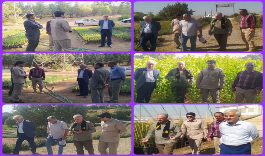 بازدید رئیس موسسه جنگل ها و مراتع کشور از برخی نهالستان های استان لرستان