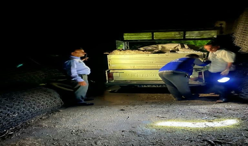  کشف و ضبط  ۳۲ کیسه زغال 