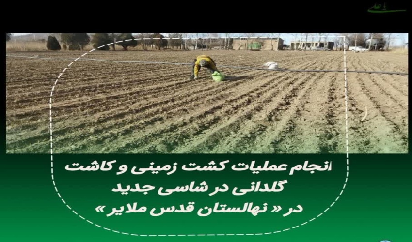 ملاقات عمومی مردم با معاونت حفاظت و امور اراضی منابع طبیعی و آبخیزداری لرستان 