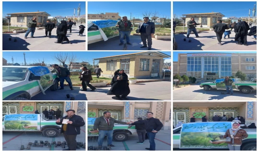 توزیع ۱۰۰۰ اصله نهال در بین رای دهندگان 