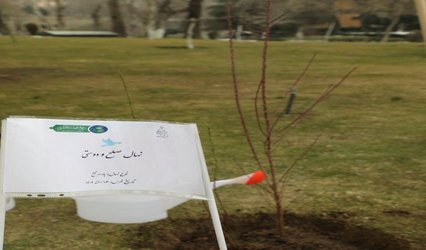 تولید 250 میلیون نهال در سال 1402 ما را به یک میلیارد درخت وعده داده شده نزدیک می کند