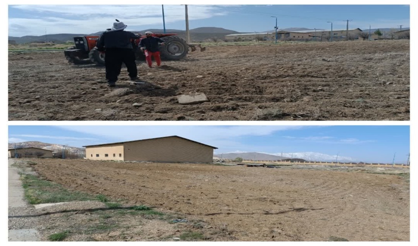 گام نخست تولید نهال شهرستان الیگودرز در سال ۱۴۰۳