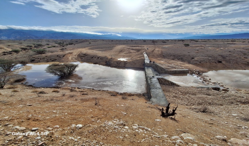 جوابیه فرمانده یگان حفاظت منابع طبیعی کشور به باشگاه خبرنگاران جوان