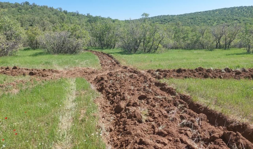 اجرای آتش بُر در روستای بیشه