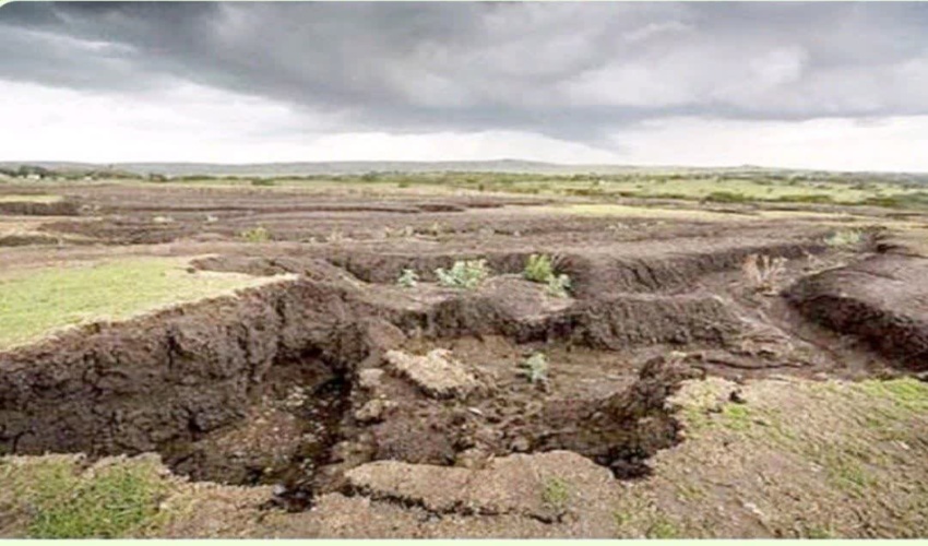مدیرکل منابع طبیعی و آبخیزداری استان خبر داد: ۵۰ تن در هکتار فرسایش خاک به صورت نقطه‌ای در لرستان 