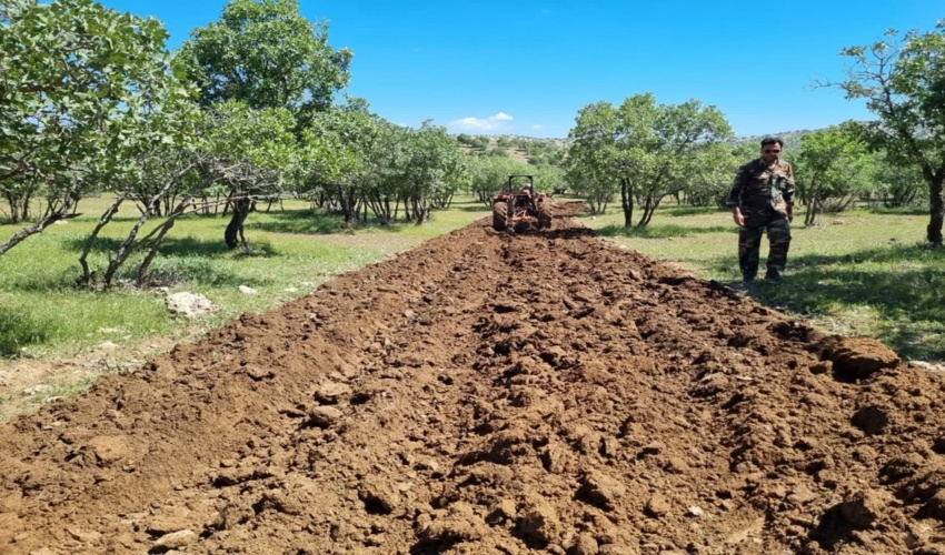 آتش بر درشهرستان رومشکان