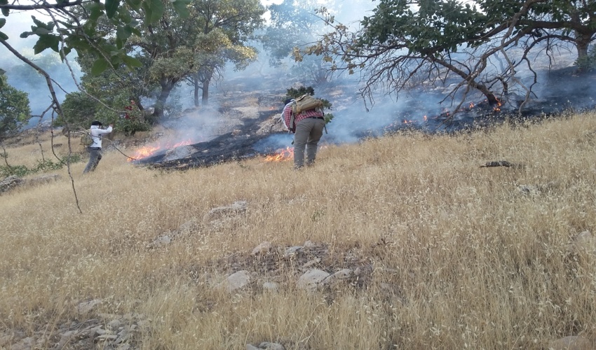 آتش سوزی سفیدکوه خرم آباد اطفاء شد