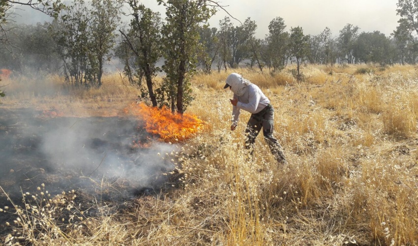 مهار آتش سوزی مراتع شاهیوند لرستان